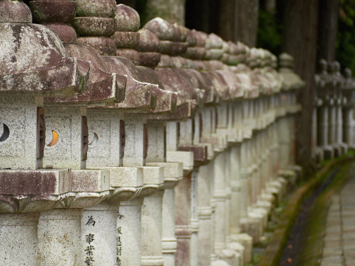 Stone lanterns among cedars at Okunoin cemetery, Koyasan