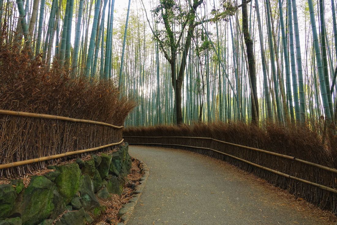 The bamboo grove at Arashiyama, Kyoto