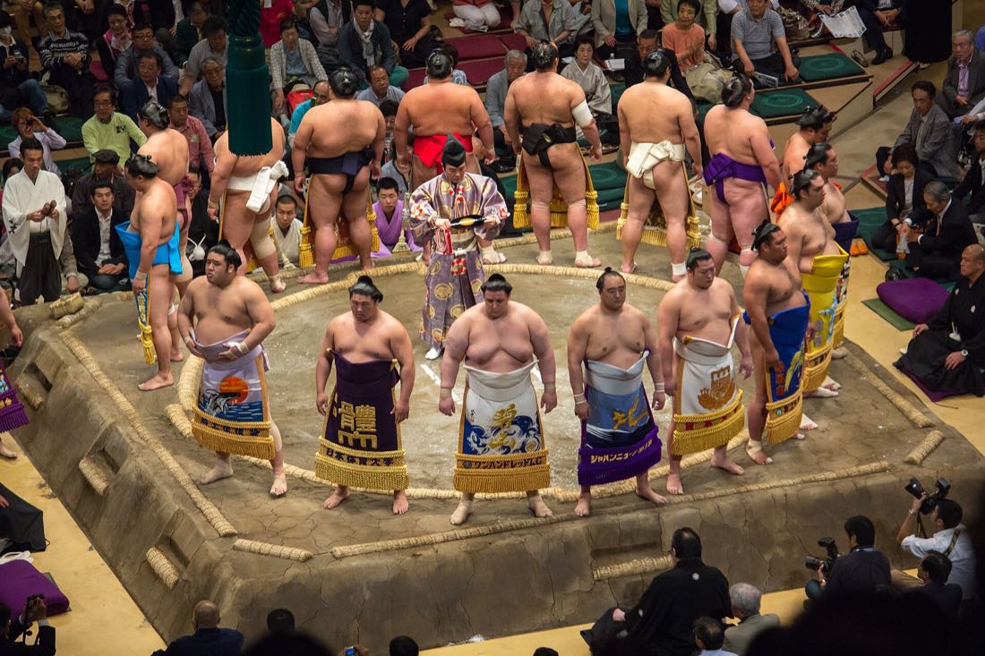 Sumo wrestlers facing off in the ring